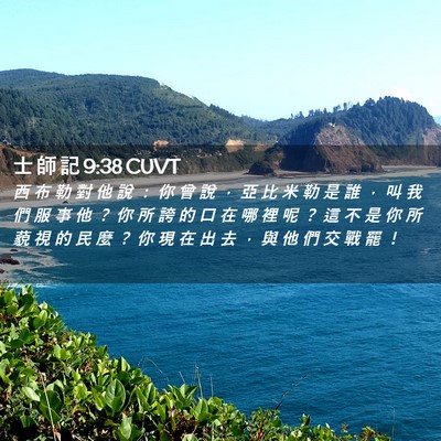 Picture 02 - 士 師 記 9:38 CUVT - 西 布 勒 對 他 說 ： 你 曾 說 ， 亞 - Bible Verse Picture