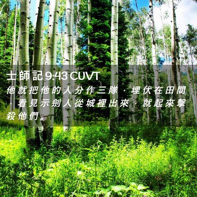 Picture 02 - 士 師 記 9:43 CUVT - 他 就 把 他 的 人 分 作 三 隊 ， 埋 - Bible Verse Picture