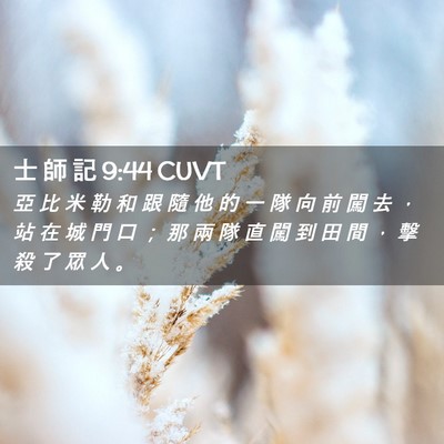 Picture 02 - 士 師 記 9:44 CUVT - 亞 比 米 勒 和 跟 隨 他 的 一 隊 向 - Bible Verse Picture