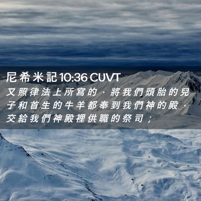 Picture 02 - 尼 希 米 記 10:36 CUVT - 又 照 律 法 上 所 寫 的 ， 將 我 們 - Bible Verse Picture
