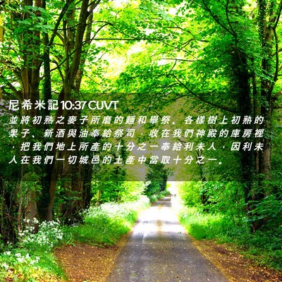 Picture 02 - 尼 希 米 記 10:37 CUVT - 並 將 初 熟 之 麥 子 所 磨 的 麵 和 - Bible Verse Picture