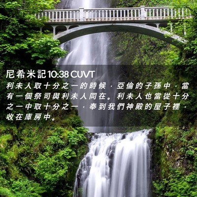 Picture 02 - 尼 希 米 記 10:38 CUVT - 利 未 人 取 十 分 之 一 的 時 候 ， - Bible Verse Picture
