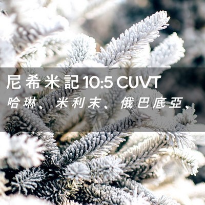 Picture 02 - 尼 希 米 記 10:5 CUVT - 哈 琳 、 米 利 末 、 俄 巴 底 亞 - Bible Verse Picture