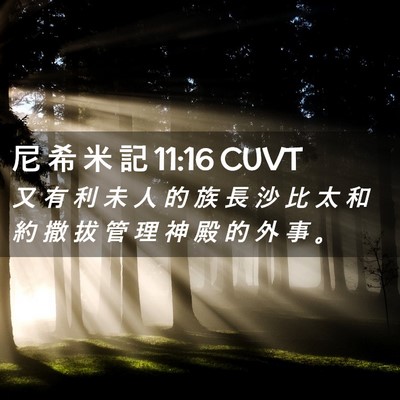Picture 02 - 尼 希 米 記 11:16 CUVT - 又 有 利 未 人 的 族 長 沙 比 太 和 - Bible Verse Picture