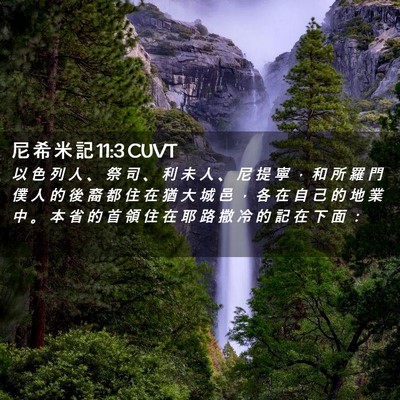 Picture 02 - 尼 希 米 記 11:3 CUVT - 以 色 列 人 、 祭 司 、 利 未 人 、 - Bible Verse Picture