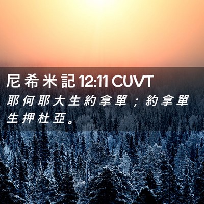 Picture 02 - 尼 希 米 記 12:11 CUVT - 耶 何 耶 大 生 約 拿 單 ； 約 拿 單 - Bible Verse Picture