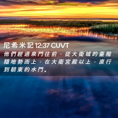 Picture 02 - 尼 希 米 記 12:37 CUVT - 他 們 經 過 泉 門 往 前 ， 從 大 衛 - Bible Verse Picture