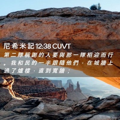 Picture 02 - 尼 希 米 記 12:38 CUVT - 第 二 隊 稱 謝 的 人 要 與 那 一 隊 - Bible Verse Picture