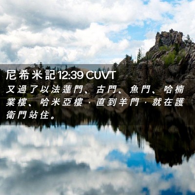 Picture 02 - 尼 希 米 記 12:39 CUVT - 又 過 了 以 法 蓮 門 、 古 門 、 魚 - Bible Verse Picture
