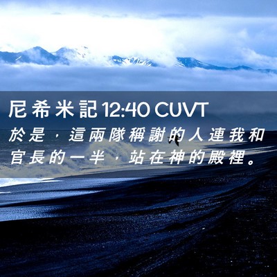 Picture 02 - 尼 希 米 記 12:40 CUVT - 於 是 ， 這 兩 隊 稱 謝 的 人 連 我 - Bible Verse Picture
