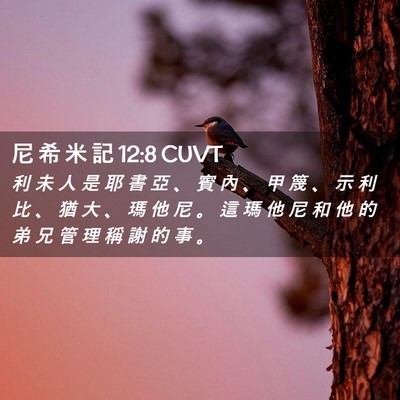 Picture 02 - 尼 希 米 記 12:8 CUVT - 利 未 人 是 耶 書 亞 、 賓 內 、 甲 - Bible Verse Picture