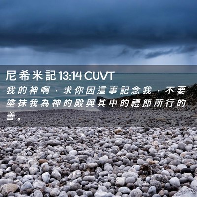 Picture 02 - 尼 希 米 記 13:14 CUVT - 我 的 神 啊 ， 求 你 因 這 事 記 念 - Bible Verse Picture
