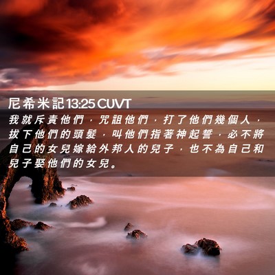 Picture 02 - 尼 希 米 記 13:25 CUVT - 我 就 斥 責 他 們 ， 咒 詛 他 們 ， - Bible Verse Picture