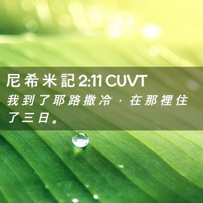 Picture 02 - 尼 希 米 記 2:11 CUVT - 我 到 了 耶 路 撒 冷 ， 在 那 裡 住 - Bible Verse Picture