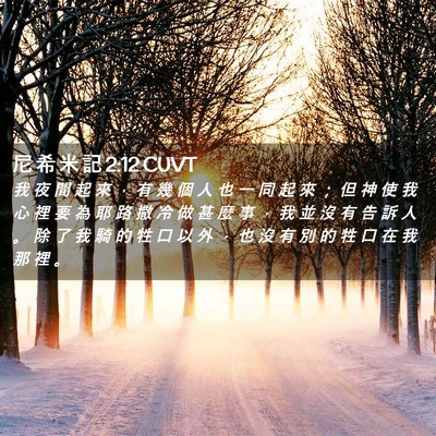 Picture 02 - 尼 希 米 記 2:12 CUVT - 我 夜 間 起 來 ， 有 幾 個 人 也 一 - Bible Verse Picture