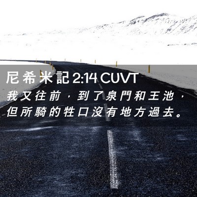 Picture 02 - 尼 希 米 記 2:14 CUVT - 我 又 往 前 ， 到 了 泉 門 和 王 池 - Bible Verse Picture