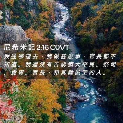 Picture 02 - 尼 希 米 記 2:16 CUVT - 我 往 哪 裡 去 ， 我 做 甚 麼 事 ， - Bible Verse Picture