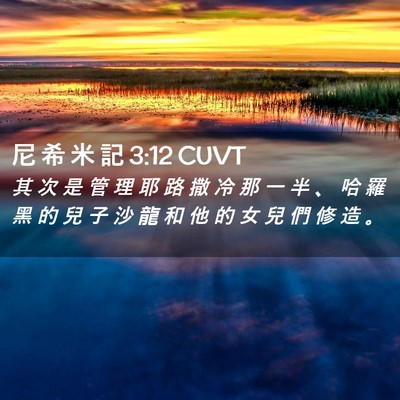Picture 02 - 尼 希 米 記 3:12 CUVT - 其 次 是 管 理 耶 路 撒 冷 那 一 半 - Bible Verse Picture