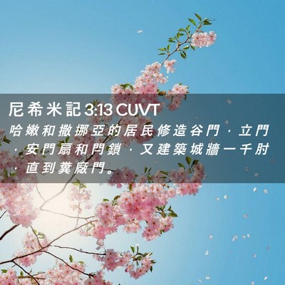 Picture 02 - 尼 希 米 記 3:13 CUVT - 哈 嫩 和 撒 挪 亞 的 居 民 修 造 谷 - Bible Verse Picture