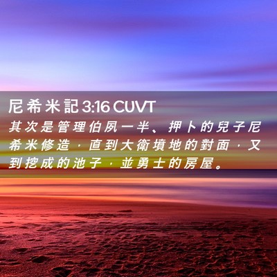 Picture 02 - 尼 希 米 記 3:16 CUVT - 其 次 是 管 理 伯 夙 一 半 、 押 卜 - Bible Verse Picture