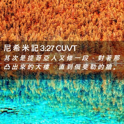 Picture 02 - 尼 希 米 記 3:27 CUVT - 其 次 是 提 哥 亞 人 又 修 一 段 ， - Bible Verse Picture