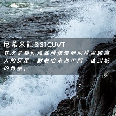 Picture 02 - 尼 希 米 記 3:31 CUVT - 其 次 是 銀 匠 瑪 基 雅 修 造 到 尼 - Bible Verse Picture