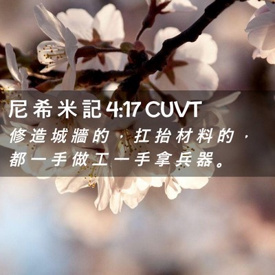Picture 02 - 尼 希 米 記 4:17 CUVT - 修 造 城 牆 的 ， 扛 抬 材 料 的 ， - Bible Verse Picture