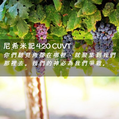 Picture 02 - 尼 希 米 記 4:20 CUVT - 你 們 聽 見 角 聲 在 哪 裡 ， 就 聚 - Bible Verse Picture