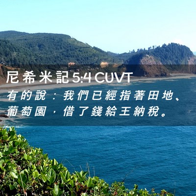 Picture 02 - 尼 希 米 記 5:4 CUVT - 有 的 說 ： 我 們 已 經 指 著 田 地 - Bible Verse Picture