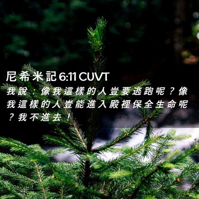 Picture 02 - 尼 希 米 記 6:11 CUVT - 我 說 ： 像 我 這 樣 的 人 豈 要 逃 - Bible Verse Picture