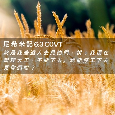 Picture 02 - 尼 希 米 記 6:3 CUVT - 於 是 我 差 遣 人 去 見 他 們 ， 說 - Bible Verse Picture