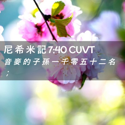 Picture 02 - 尼 希 米 記 7:40 CUVT - 音 麥 的 子 孫 一 千 零 五 十 二 名 - Bible Verse Picture