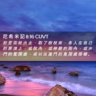 Picture 02 - 尼 希 米 記 8:16 CUVT - 於 是 百 姓 出 去 ， 取 了 樹 枝 來 - Bible Verse Picture