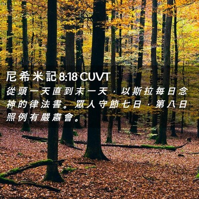 Picture 02 - 尼 希 米 記 8:18 CUVT - 從 頭 一 天 直 到 末 一 天 ， 以 斯 - Bible Verse Picture