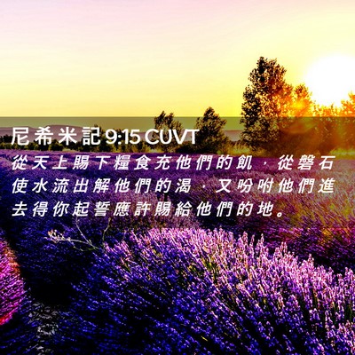 Picture 02 - 尼 希 米 記 9:15 CUVT - 從 天 上 賜 下 糧 食 充 他 們 的 飢 - Bible Verse Picture