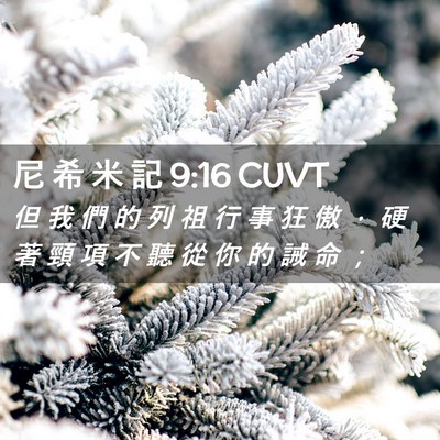 Picture 02 - 尼 希 米 記 9:16 CUVT - 但 我 們 的 列 祖 行 事 狂 傲 ， 硬 - Bible Verse Picture