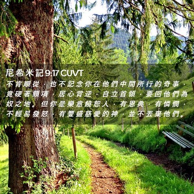 Picture 02 - 尼 希 米 記 9:17 CUVT - 不 肯 順 從 ， 也 不 記 念 你 在 他 - Bible Verse Picture