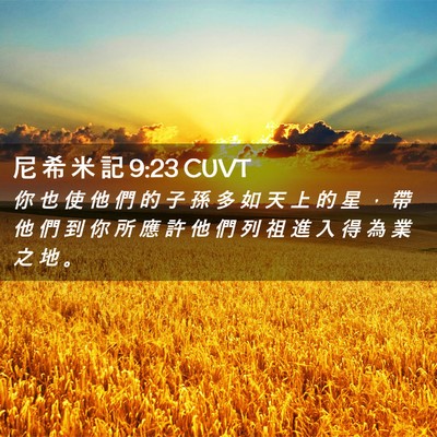 Picture 02 - 尼 希 米 記 9:23 CUVT - 你 也 使 他 們 的 子 孫 多 如 天 上 - Bible Verse Picture