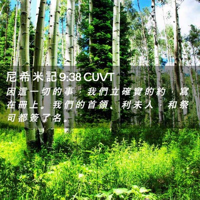 Picture 02 - 尼 希 米 記 9:38 CUVT - 因 這 一 切 的 事 ， 我 們 立 確 實 - Bible Verse Picture