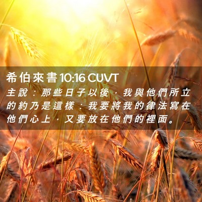 Picture 02 - 希 伯 來 書 10:16 CUVT - 主 說 ： 那 些 日 子 以 後 ， 我 與 - Bible Verse Picture