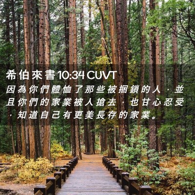 Picture 02 - 希 伯 來 書 10:34 CUVT - 因 為 你 們 體 恤 了 那 些 被 捆 鎖 - Bible Verse Picture