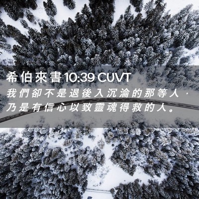 Picture 02 - 希 伯 來 書 10:39 CUVT - 我 們 卻 不 是 退 後 入 沉 淪 的 那 - Bible Verse Picture