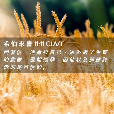 Picture 02 - 希 伯 來 書 11:11 CUVT - 因 著 信 ， 連 撒 拉 自 己 ， 雖 然 - Bible Verse Picture