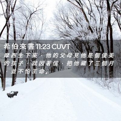 Picture 02 - 希 伯 來 書 11:23 CUVT - 摩 西 生 下 來 ， 他 的 父 母 見 他 - Bible Verse Picture