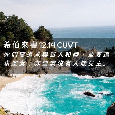 Picture 02 - 希 伯 來 書 12:14 CUVT - 你 們 要 追 求 與 眾 人 和 睦 ， 並 - Bible Verse Picture