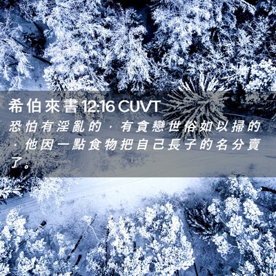 Picture 02 - 希 伯 來 書 12:16 CUVT - 恐 怕 有 淫 亂 的 ， 有 貪 戀 世 俗 - Bible Verse Picture