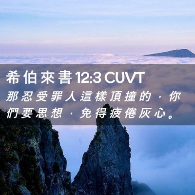 Picture 02 - 希 伯 來 書 12:3 CUVT - 那 忍 受 罪 人 這 樣 頂 撞 的 ， 你 - Bible Verse Picture
