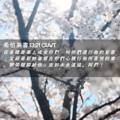 Picture 02 - 希 伯 來 書 13:21 CUVT - 在 各 樣 善 事 上 成 全 你 們 ， 叫 - Bible Verse Picture