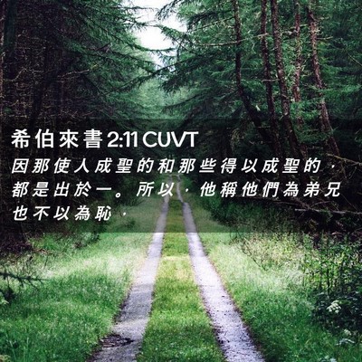 Picture 02 - 希 伯 來 書 2:11 CUVT - 因 那 使 人 成 聖 的 和 那 些 得 以 - Bible Verse Picture