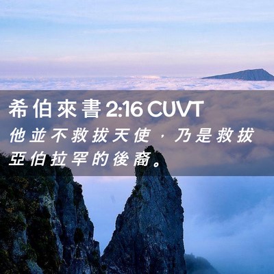 Picture 02 - 希 伯 來 書 2:16 CUVT - 他 並 不 救 拔 天 使 ， 乃 是 救 拔 - Bible Verse Picture